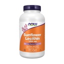 JETZT Ergänzungen, Sonnenblume Lecithin 1200 mg mit Phosphatidyl Choline, 200 Softgels