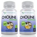 Choline Premium - 500 mg - 120 Capsules de Veggie - Soutient la santé cognitive, la mémoire et plus - 2 Pack