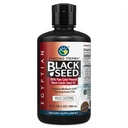 Erstaunliche Kräuter Ägyptisches Schwarzes Samenöl - Glutenfrei, Non GMO, kalt gepresst Nigella Sativa Aids in Verdauungsgesundheit, Immununterstützung, Gehirnfunktion, Mild Flavor - 32 Fl Oz