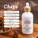 Rainbo - Chaga Mushroom Tincture - Alkoholfrei - Dual Extract Mushroom Supplement - Immununterstützung, Cellular Support, Liquid Chaga Supplement, Vegan, Non GMO, 3,4 fl oz