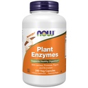 JETZT Nahrungsergänzungsmittel, Pflanzenenzyme mit Lactase, Protease, Papain und Bromelain, 240 Veg Kapseln