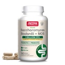 Formules de Jarrow Saccharomyces Boulardii + MOS - 5 milliards d'organismes par portion - 180 capsules végétatives à libération différée - Probiotique + Prébiotique - Soutien au piège intestinal - Jusqu'à 180 portions