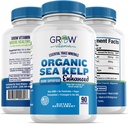 Organic Sea Kelp (Icelandic) Enhanced - Pure Healthy Thyroid Support Natural Iodine Supplement w/Organic Sea Kelp, Blue-Green Algae & Red Algae - Immunsystem & Stoffwechselunterstützung - 90 Kapseln