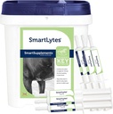 SmartEquine SmartLytes Pferd Elektrolyt-Pulver-Ergänzung & SmartLytes Paste Pferd Elektrolyt Paste 6 Tubes Bundle, fördert Hydration, Replenishes Elektrolyte, kein hinzugefügter Zucker