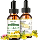 Gouttes de Mullein pour les poumons, désintoxication pulmonaire et nettoyage pour les fumeurs, extrait de feuille de Mullein biologique pour les poumons w. Elderberry, Ginger, Mullein Tection Alcool sans alcool pour la santé respiratoire pulmonaire 2 FL/OZ