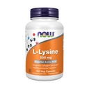 JETZT Nahrungsergänzungsmittel, L-Lysin (L-Lysin Monohydrochlorid) 500 mg, Aminosäure, 100 Veg Kapseln