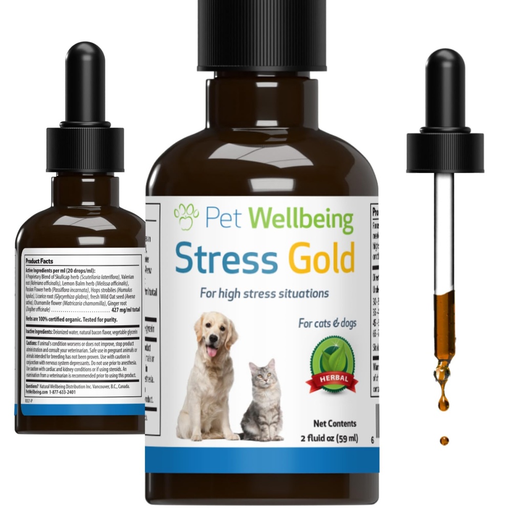 Pet Wellbeing Stress Gold für Katzen - Vet-Formulierte Situation Feline Stress Support - Fast-Acting Vet Besuche, Reisen, Grooming - Cat-Safe ganzheitliche Kräutermischung - Liquid Support 2 oz (59ml)