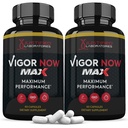 Justified Laboratories (2 Pack Vigor Jetzt Max 1600MG Advanced Men's Health Formula 120 Kapseln