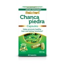SALUTARI Chanca Piedra Stone Breaker, 60 Capsules végétariennes - Supplément de brise-pierre naturel pour la santé rénale, le nettoyage du foie et le soutien de la vésicule - Supplément de détox naturel