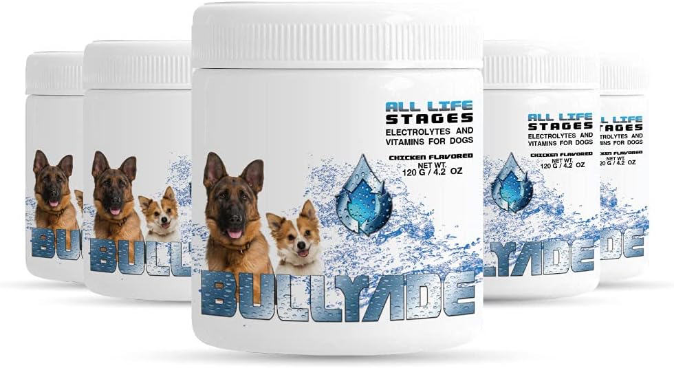 Supplément chien naturel avec 18 vitamines, minéraux et électrolytes. Mélange avec de l'eau ou des aliments. (Boîte de poulet 5)