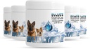 Supplément chien naturel avec 18 vitamines, minéraux et électrolytes. Mélange avec de l'eau ou des aliments. (Boîte de poulet 5)