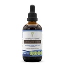 Secrets du Tribe Goldenseal et de l'Echinacea Extrait liquide sans alcool, Herbes (racine d'Echinacea (Echinacea Purpurea), racine de Goldenseal (Hydrastis Canadensis)) Supplément de teinture (4 FL OZ)