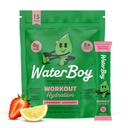 Waterboy Workout Hydration | 2,960mg Zucker Kostenlose Elektrolyt-Pulver-Packets | L-Glutamin + Vitamine | Kein Zucker, alle natürlichen, Glutenfreien | 15 Getränke-Stick-Mixe (Strawberry-Lemonade)