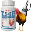 Farmalab B12 B15 für Hahne B15 B12 para Gallos 100 Tablets
