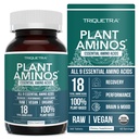 Plant Aminos Organic Essential Amino Acid Supplement (EAAs) & BCAA - 100% Pflanzenbasiertes Raw, Vegan - Alle 9 essentiellen Aminosäuren mit 18 totalen Aminosäuren (360 Tabletten)