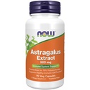 JETZT Nahrungsergänzungsmittel, Astragalus Extract 500 mg (Standardisiert auf 70% Polysaccharide), 90 Veg Kapseln