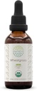 HerbEra Wheatgrass B60 USDA Organic Tincture | Alkoholfreier Extrakt, hochkarätige Kräutertropfen, Flüssige Ergänzung | Certified Organic Wheatgrass (Triticum aestivum) Getrocknete Blatt (2 oz)