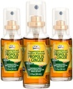 Beelife Propolis Throat Spray– Beruhigende Honig & Ginger Propolis Spray- Natürliche Immununterstützung & Bee Propolis Extrakt-Antioxidantien, reich an Flavonoiden & Artepillin, kein Zucker, Gluten-Free- 3-Pack, 90ml