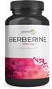 Berberine HCl 1200mg – Hohe Potenzergänzung für Blutzucker, Insulin & Weight Management – Non-GMO, Gluten-Free, Vegan Capsules – Heart & Metabolism Support, Made in USA – 60 Count