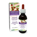Naturalma Ashwagandha (Withania somnifera) Teinture sans alcool racine - 4 fl oz Extrait liquide dans les gouttes - Supplément à base de plantes - Vegan
