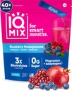 IQMIX poudre d'électrolyte d'hydratation – formule 4-en-1 pour l'hydratation, la clarté mentale, l'humeur et la récupération – mélange de boisson sans sucre, kéto, thréonate de magnésium L, lion, mane – 40 grenadiers de bleuets