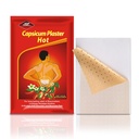 Patches Capsaicin, 20 paquets de 4,72" x 7,08" Patches Hot Capsicum