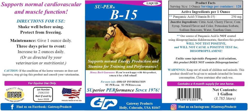 SUPER B-15 Supplément de vitamine pour chevaux - Vitamine Hippique B-15 Liquide pour le soutien de la performance - Soutienne la fonction immunitaire et musculaire cardiovasculaire normale - 1 Gallon + pompe, approvisionnement de 4 mois