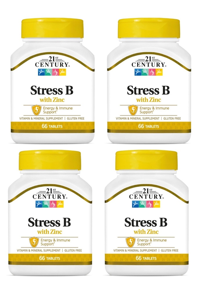 21ème siècle Stress B W/Zinc 66 Compte (4 Pack)