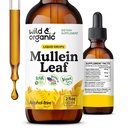 Wild & Organic Mullein Tropfen für Lunge - Lung Detox and Cleanse - Flüssige Mullein Blatt Tinktur mit Echinacea & Licorice Wurzel - Vegan, Zucker & Alkoholfreie Extraktergänzung - 2 fl oz