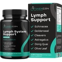 Kräuter-Lymphsystem-Supplement - Lymphatic Support Complex mit Echinacea Goldenseal Astragalus & Hydroxytyrosol für Lymphe Drainage & Immununterstützung - Vegan Non-GMO Gluten Free (1 Monat)