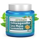 HERBOGANIC Ashwagandha Sea Moss Gummis - 60 Count