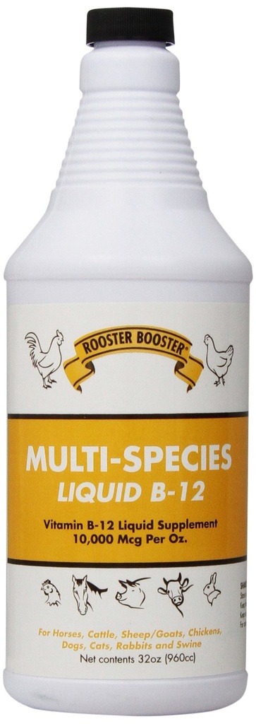 Hahn Booster B-12 Liquid, 32-Ounce