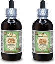 Small Flower Willow (Epilobium parviflorum) Glycerit, Getrockneter Kräuteralkoholfreier Flüssigextrakt (Markenname: HerbalTerra, Proudly Made in USA) 2x4 fl.oz (2x120 ml)