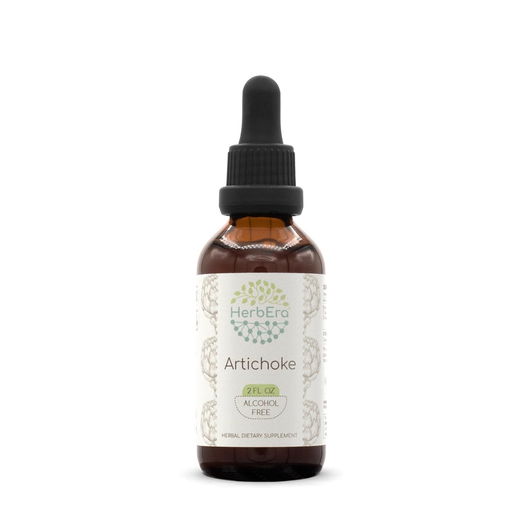 HerbEra Artichaut B60 Teinture d'extrait de plantes sans alcool, gouttes concentrées de liquides Artichaut naturel (Cynara scolymus) (2 fl oz)