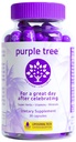 lila baum post-Celebration Wellness Vitamine | Leberunterstützung, schnelle Hydration, Body Replenisher | Dihydromyricetin DHM, Milchdistel, Elektrolyte, Vitamin B, Willow Bark, Quercetin (30 Pillen)