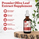 Rejuvica Active Olive Leaf Extract | Natürlich Occurring Oleuropein Flüssigkeitstropfen für Immun- und Herzunterstützung | Fast-Absorption, Vegan, Alkoholfrei | 6 fl oz