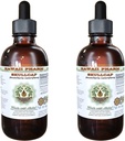 Skullcap Alcohol-Free Liquid Extract, Organic Skullcap (Scutellaria lateriflora) Getrocknete Kräuter Glycerite natürliche Kräuterergänzung, Hawaii Pharm, USA 2x4 fl.oz