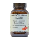 Barlowe Kräuter Elixiers Reishi Pilzextrakt Ergänzung | Rot Reishi | Ganoderma Lucidum 0%30% Polysaccharide| 6% Triterpenes | 500mg | 60 Veggie Kapseln