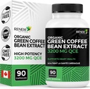 Erneute Wirkstoffe hohe Potenz Grüne Kaffeebohnen Extrakt - 800mg pro Servierung Grüne Kaffeebohnen Extrakt mit 50% Chlorogenic Säure für Antioxidans Vorteile - Made in Canada - 90 Vegan Kapseln
