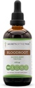 Secrets de la racine de sang Tribe Extrait d'alcool de teinture, racine de sang d'élevage responsable (Sanguinaria Canadensis) Racine séchée (4 FL OZ)