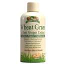Garten Grüns Weizen Gras Flüssigkeit mit echtem Ginger Extrakt, Nature's Perfect Superfood, 32 Portionen