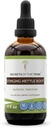 Secrets of the Tribe Stinging Nettle Root Alcohol Extract, High-Potency Herbal Drops, Tincture Made from Sting Nettle (Urtica dioica) Getrocknet Wurzel 4 Unzen
