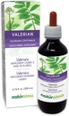 Naturalma Valerian (Valariana officinalis) Teinture sans alcool racine - 6,76 fl oz Extrait liquide dans les gouttes - supplément à base de plantes - végétalien