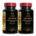 L-LYSINE 500 - L-Lysine 500mg, für gesunde Immunfunktion, unterstützt Kollagensynthese, Soja-frei, Glutenfrei, Non-GMO, Lysine-Ergänzung unterstützt gesunde Lip- und Oralgewebe - 2 Flaschen 200 Zähler