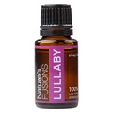 Nature's Fusions Mélange d'huile essentielle de sommeil 15ml - Calmer Drea, Diffuseur, Nature's Fusions Lullaby - 100% Pure Qualité thérapeutique - Lavande, Camomille romaine, Neroli, Rose, Vanille, Ylang Ylang