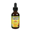 Nature's Life B-12 Tropfen, Methlycobalamin 4 oz (2 Fl Oz (Pack von 1))