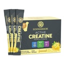 Creatine Monohydrate Poudre Micronised PreWorkout Recovery Supplement Support Muscle Building Strength Training Cognition.