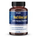Rote Vine Blatt und Rosskastanie, 50% Flavonoide für Leg Vein Unterstützung, Haut, Herz Wellness - Made in USA