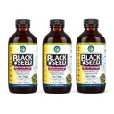 Erstaunliche Kräuter Premium Schwarzes Samenöl - Glutenfrei, Non GMO, kalt gepresst Nigella Sativa Aids in Verdauungsgesundheit, Immununterstützung, Gehirnfunktion - 4 Fl Oz (Pack von 3)