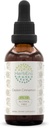 Ceylan Cinnamon B60 Teinture d'extrait d'herbe sans alcool, gouttes de liquide concentrées Cannelle naturelle (Cinnamomum Verum) (2 fl oz)